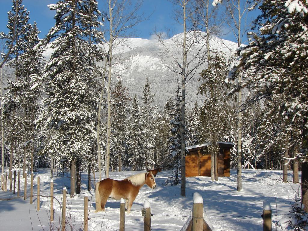 Mica Mountain & Log Chalet Tete Jaune Cache
