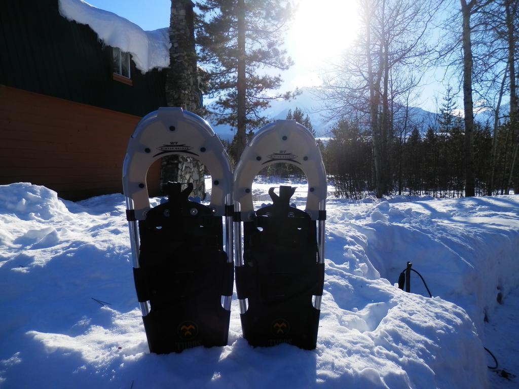 Chalet Mica Mountain & Log